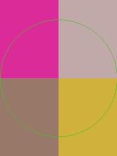 Image style, Media Library thumbnail (220×220)